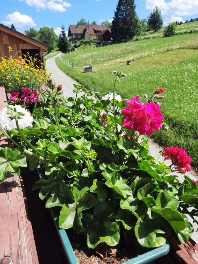 Ferienwohnung Naturidyll Brunner Kostendorf Exterior foto